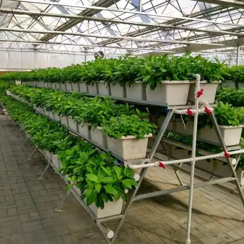赤峰市植物工厂温室大棚 - 厂家