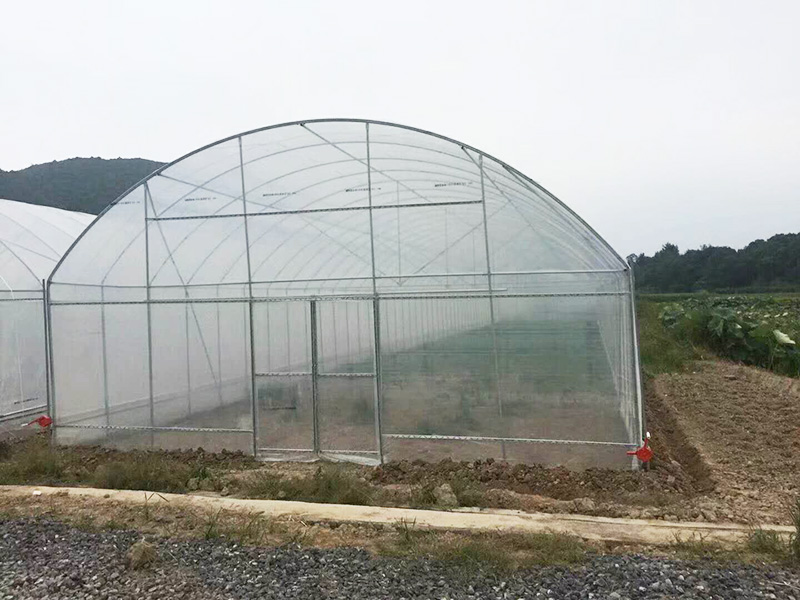 赤峰市薄膜大棚温室大棚 - 厂家