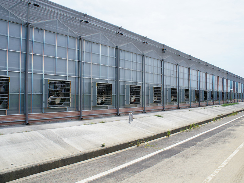 赤峰市玻璃大棚气雾培 - 厂家